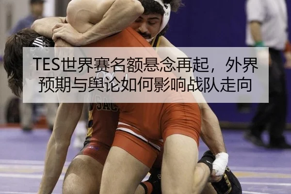 TES世界赛名额悬念再起，外界预期与舆论如何影响战队走向 | leyu